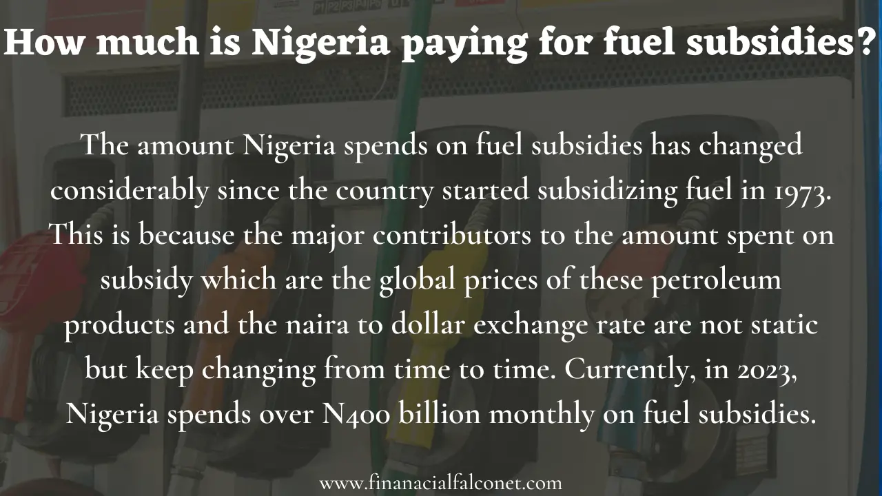 ¿Cuánto paga Nigeria por el subsidio al combustible?