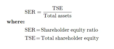 Fórmula y ejemplo del ratio de solvencia