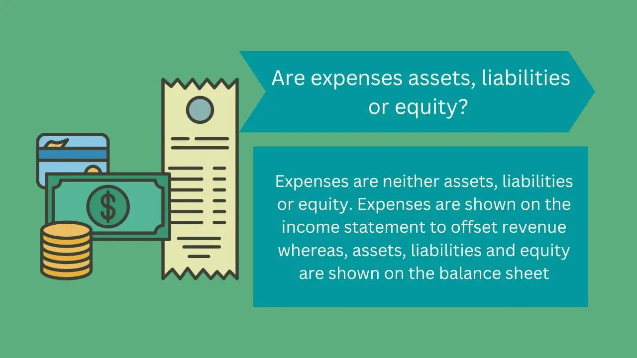 ¿Los gastos son activos, pasivos o patrimonio?