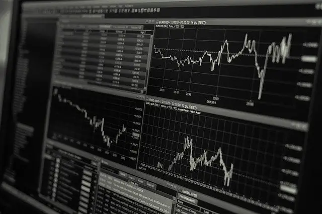 Diferencias y similitudes entre acciones y participaciones