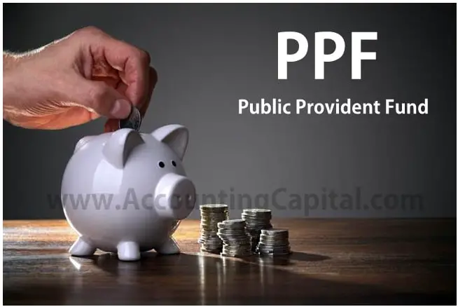 ¿Qué es la FPP? - Capital del balance