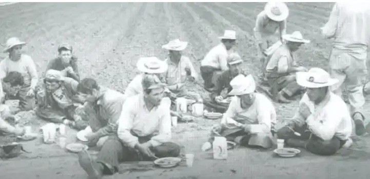 ¿Qué fue el programa Bracero? (Programa de Trabajo Agrícola Mexicano) ¿Qué fue el programa Bracero? (Programa de Trabajo Agrícola Mexicano)